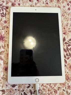 Apple iPad 6th Gen 32 GB Rose Gold